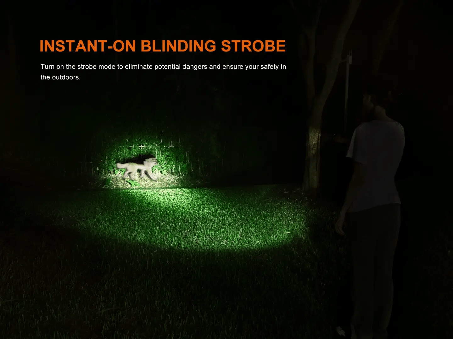 Lampe torche Fenix LD35R rechargeable 1800 lumens – lampe polyvalente à éclairage principal et latéral (blanc, rouge, bleu)