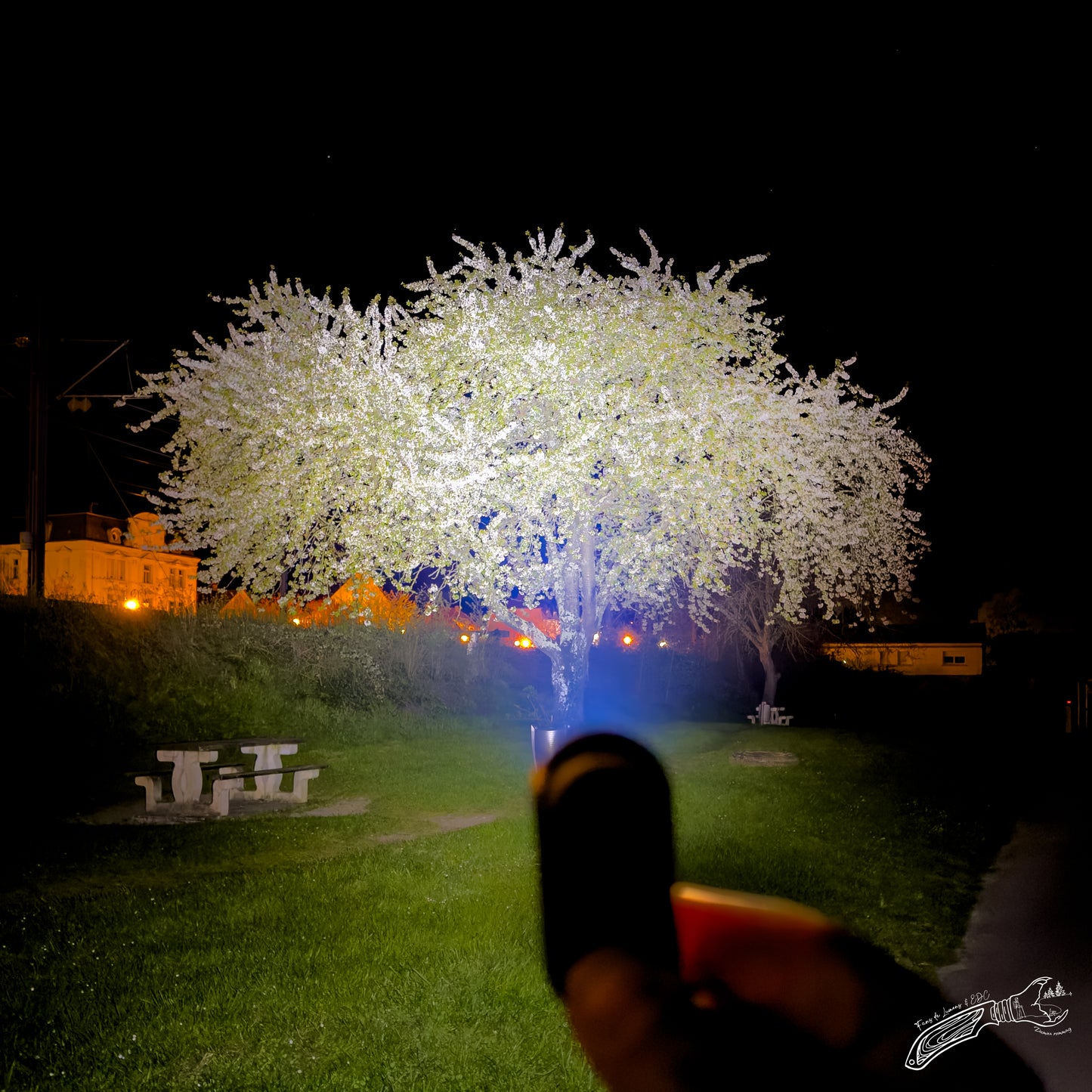 Loop Gear LOOPDOT – la petite lampe EDC qu’on finit par garder en poche sans même y penser