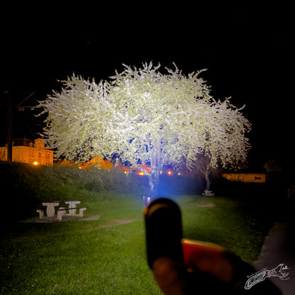 Loop Gear LOOPDOT – la petite lampe EDC qu’on finit par garder en poche sans même y penser